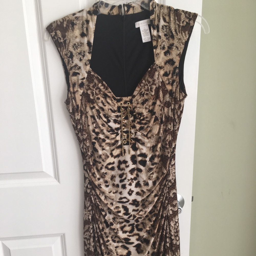Cache Leopard print dress